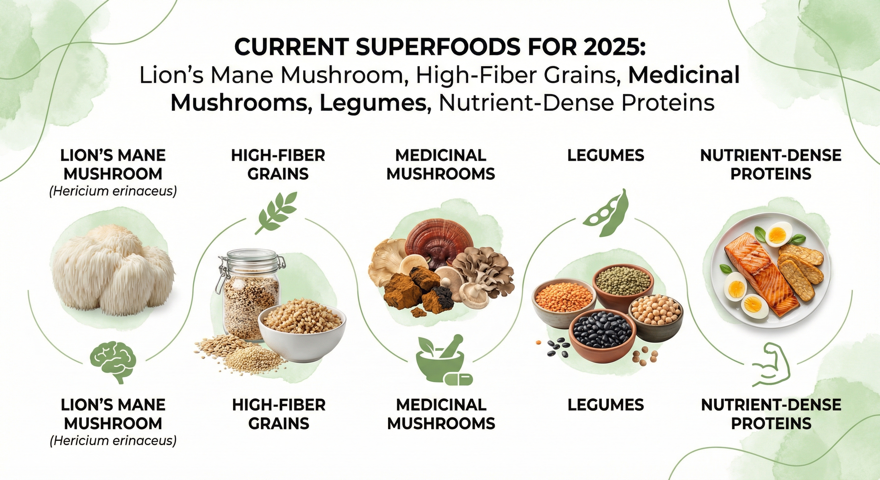 Infografía sobre superalimentos y hongos medicinales